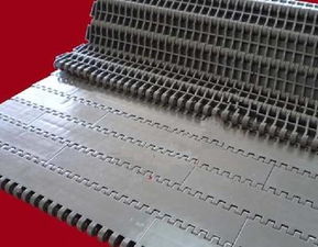 不銹鋼網(wǎng)帶輸送機(jī)網(wǎng)鏈輸送機(jī)風(fēng)干輸送機(jī)樂(lè)途專業(yè)生產(chǎn)